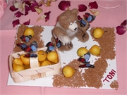 060820-Geburtstag Andree05